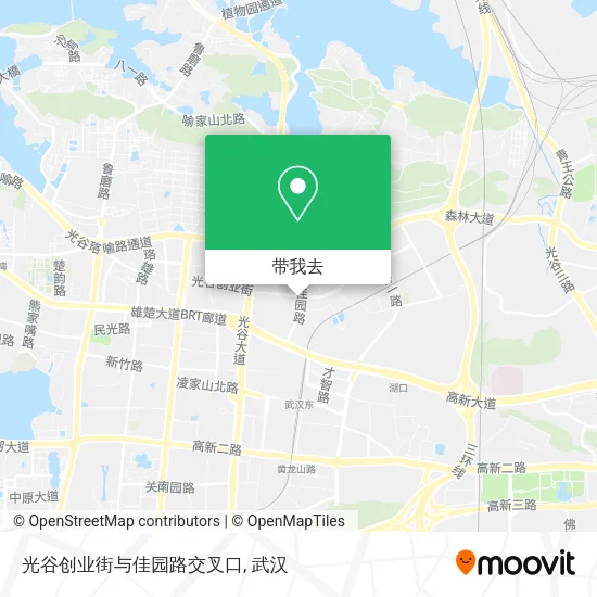 光谷创业街与佳园路交叉口地图