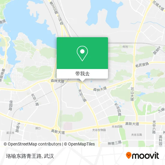 珞喻东路青王路地图