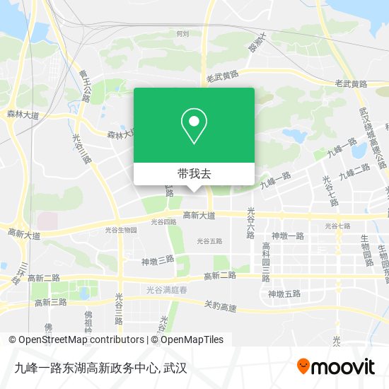 九峰一路东湖高新政务中心地图