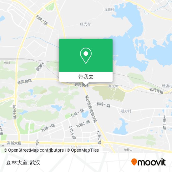 森林大道地图