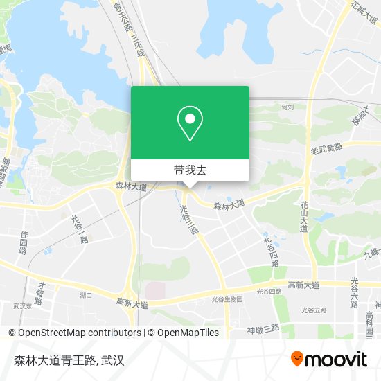 森林大道青王路地图