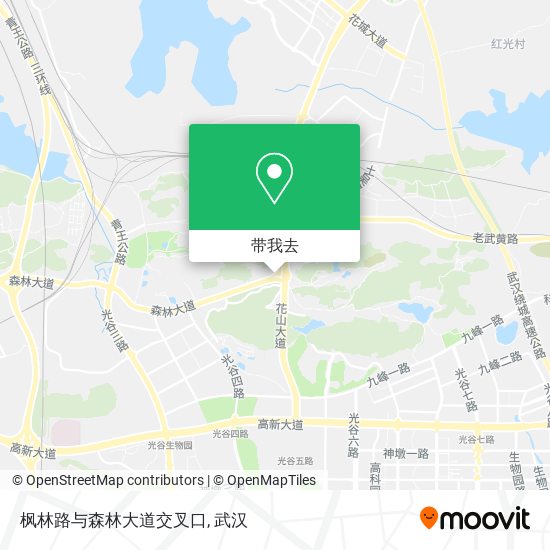 枫林路与森林大道交叉口地图