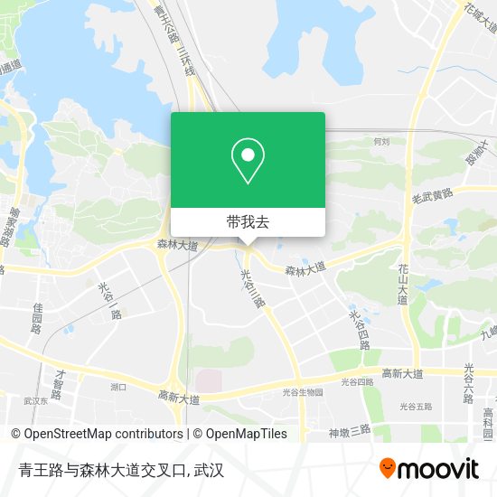 青王路与森林大道交叉口地图