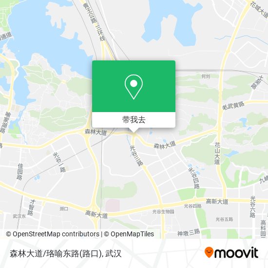 森林大道/珞喻东路(路口)地图