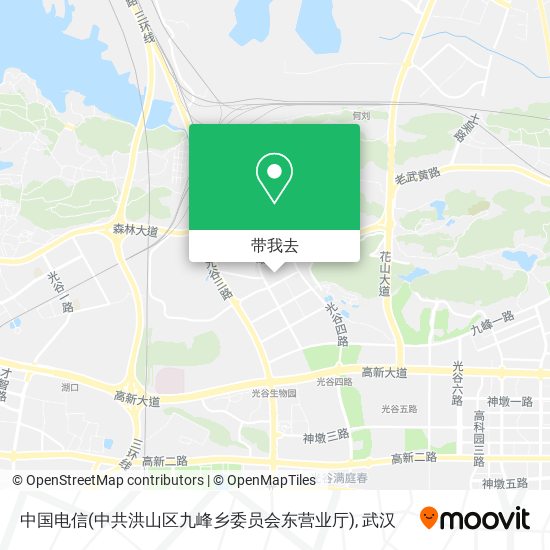 中国电信(中共洪山区九峰乡委员会东营业厅)地图