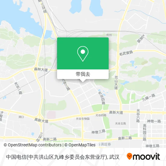 中国电信(中共洪山区九峰乡委员会东营业厅)地图