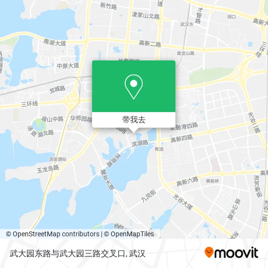 武大园东路与武大园三路交叉口地图