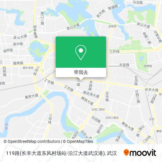 119路(长丰大道东风村场站-沿江大道武汉港)地图