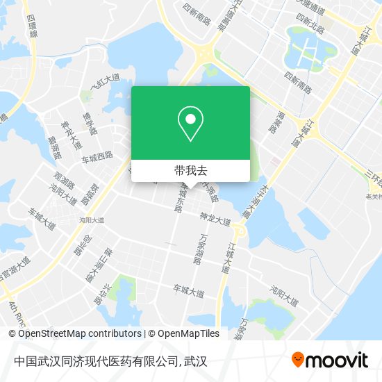 中国武汉同济现代医药有限公司地图