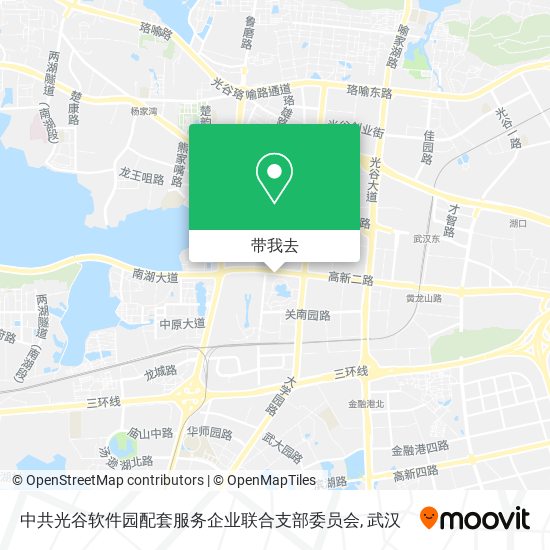 中共光谷软件园配套服务企业联合支部委员会地图