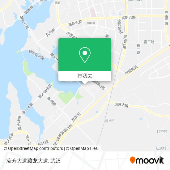 流芳大道藏龙大道地图