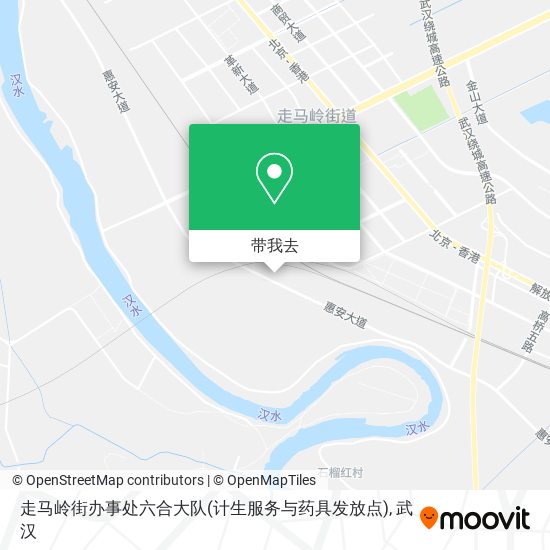 走马岭街办事处六合大队(计生服务与药具发放点)地图