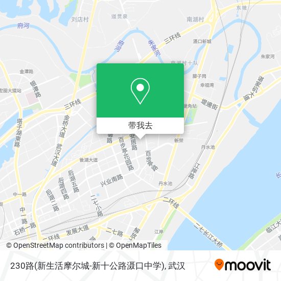 230路(新生活摩尔城-新十公路滠口中学)地图