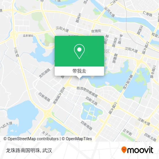 龙珠路南国明珠地图