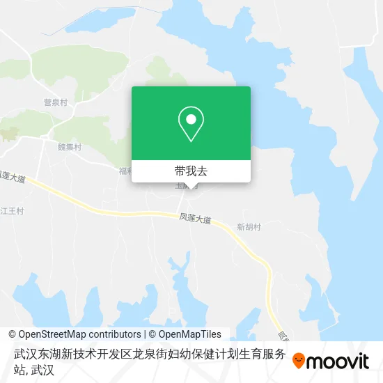 武汉东湖新技术开发区龙泉街妇幼保健计划生育服务站地图