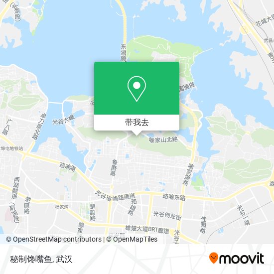 秘制馋嘴鱼地图
