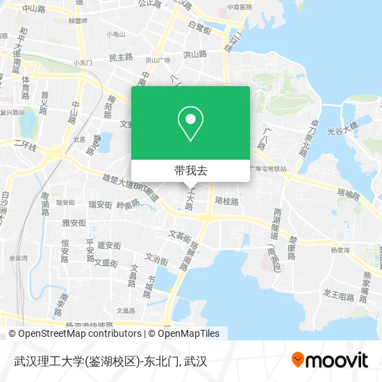 武汉理工大学(鉴湖校区)-东北门地图