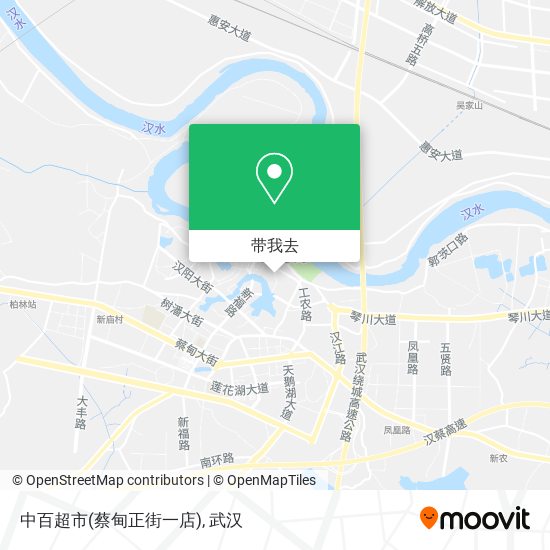 中百超市(蔡甸正街一店)地图