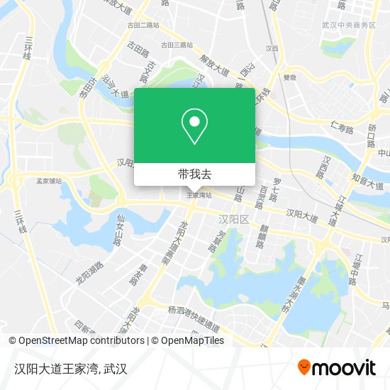 汉阳大道王家湾地图