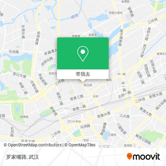 罗家嘴路地图