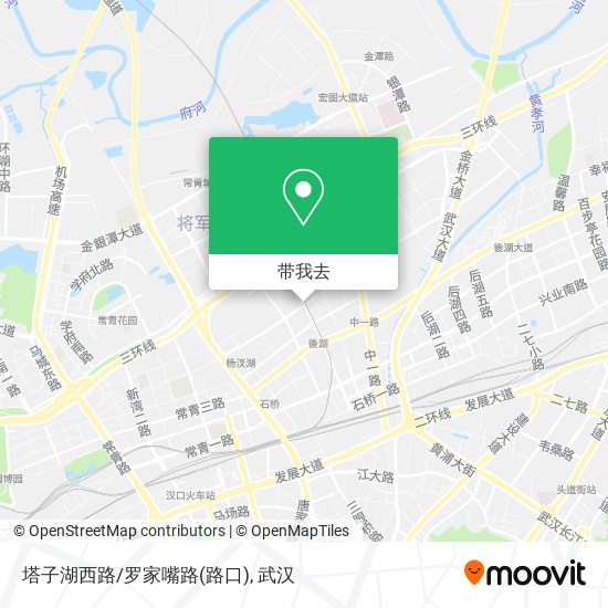 塔子湖西路/罗家嘴路(路口)地图