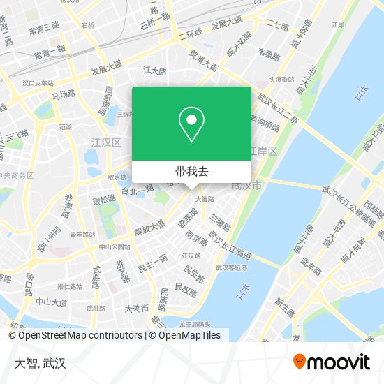 大智地图