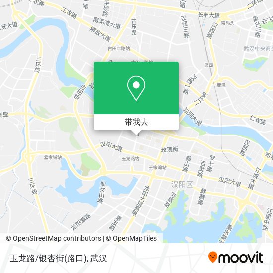 玉龙路/银杏街(路口)地图