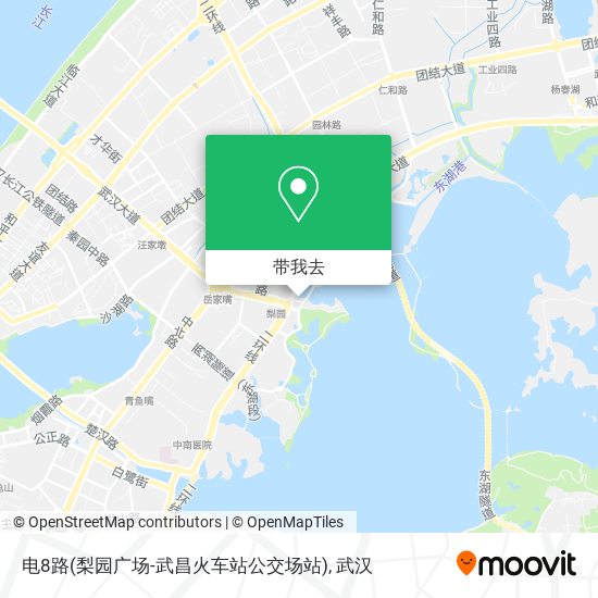 电8路(梨园广场-武昌火车站公交场站)地图