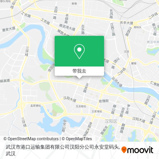 武汉市港口运输集团有限公司汉阳分公司永安堂码头地图