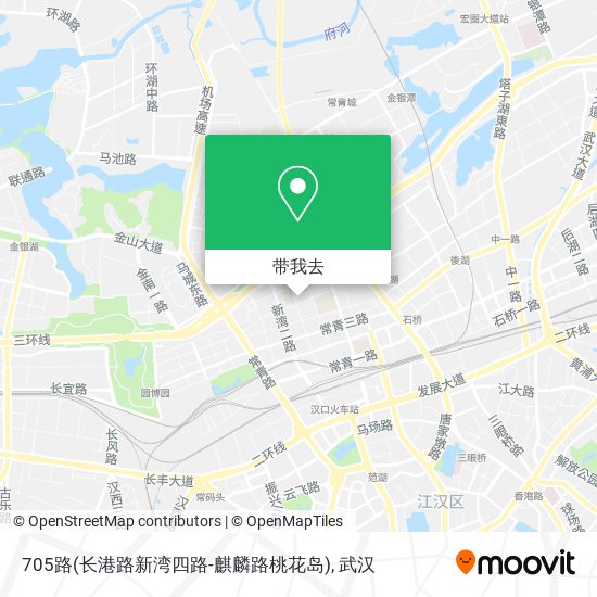 705路(长港路新湾四路-麒麟路桃花岛)地图