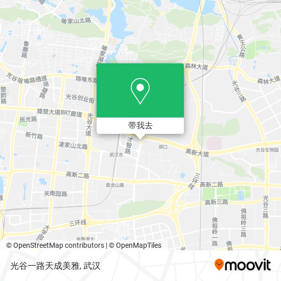 光谷一路天成美雅地图