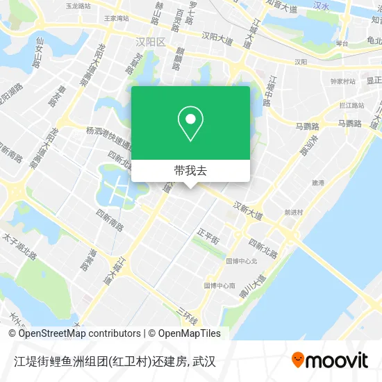 江堤街鲤鱼洲组团(红卫村)还建房地图
