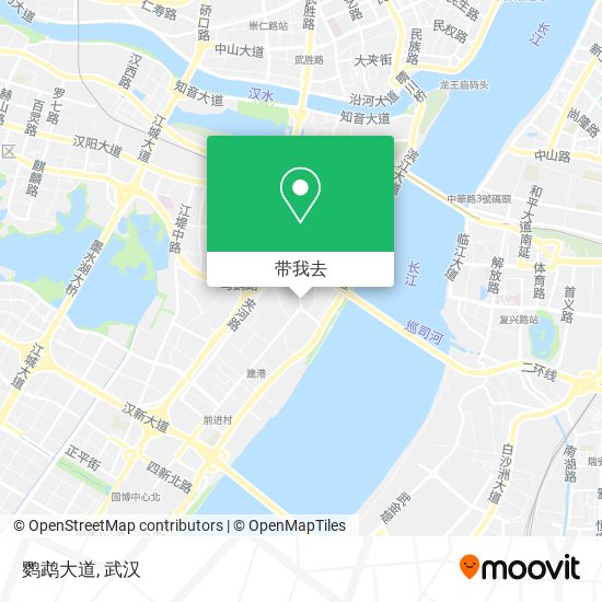 鹦鹉大道地图