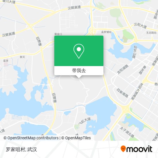 罗家咀村地图