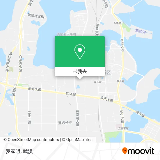 罗家咀地图