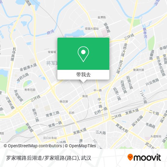 罗家嘴路后湖道/罗家咀路(路口)地图