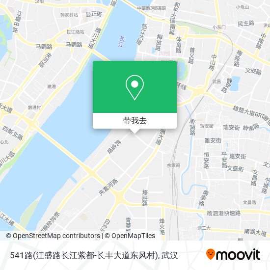 541路(江盛路长江紫都-长丰大道东风村)地图