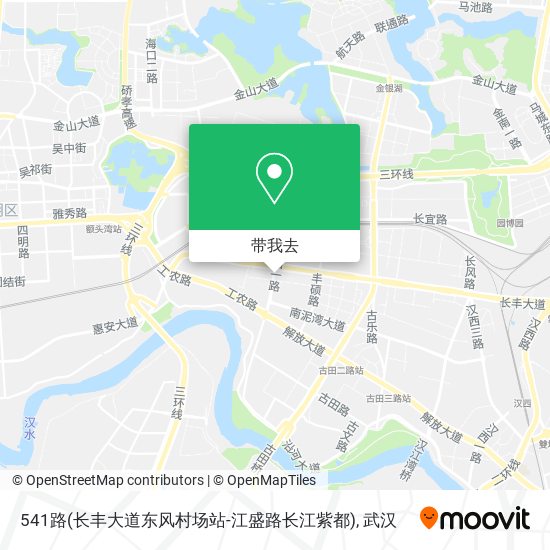 541路(长丰大道东风村场站-江盛路长江紫都)地图