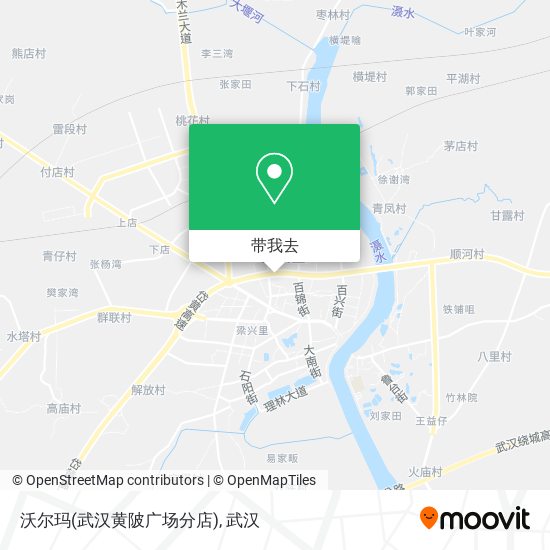 沃尔玛(武汉黄陂广场分店)地图