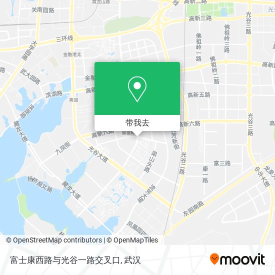 富士康西路与光谷一路交叉口地图