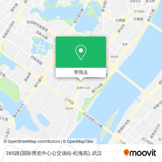 385路(国际博览中心公交场站-松海苑)地图
