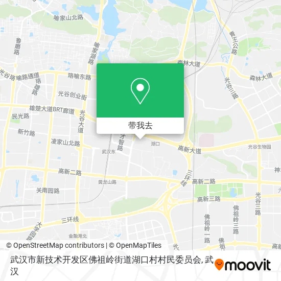 武汉市新技术开发区佛祖岭街道湖口村村民委员会地图