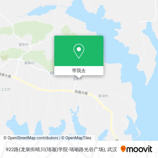 922路(龙泉街晴川(珞珈)学院-珞喻路光谷广场)地图