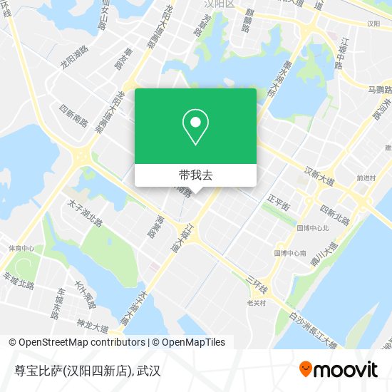 尊宝比萨(汉阳四新店)地图