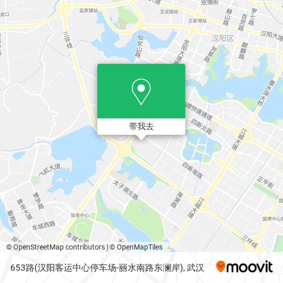 653路(汉阳客运中心停车场-丽水南路东澜岸)地图