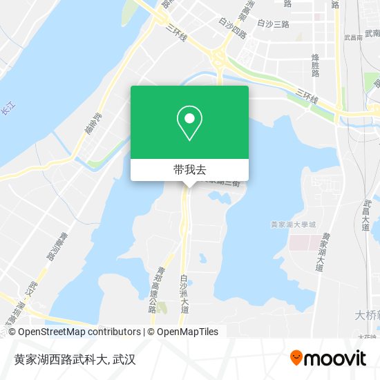 黄家湖西路武科大地图