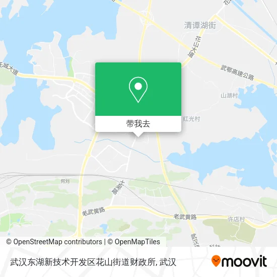 武汉东湖新技术开发区花山街道财政所地图