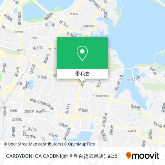 CARDYDONI CA CADDNI(新世界百货武昌店)地图