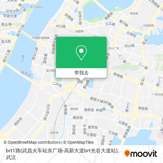 brt1路(武昌火车站东广场-高新大道brt光谷大道站)地图
