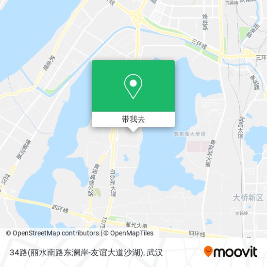 34路(丽水南路东澜岸-友谊大道沙湖)地图